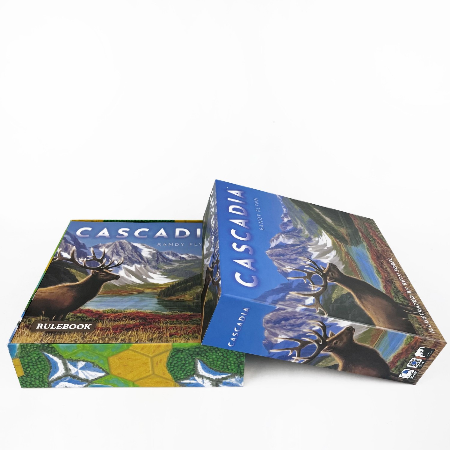 Cascadia Boardgame | Strategic - مراجعة Board Game Harmonies وسعره