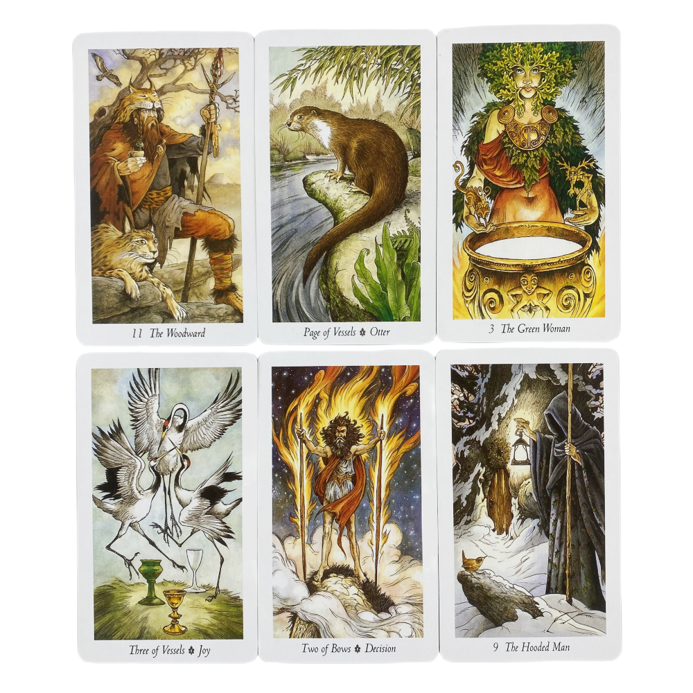 The Wild Wood Tarot Cards A 78 - مراجعة Board Game Wild Wild وسعره