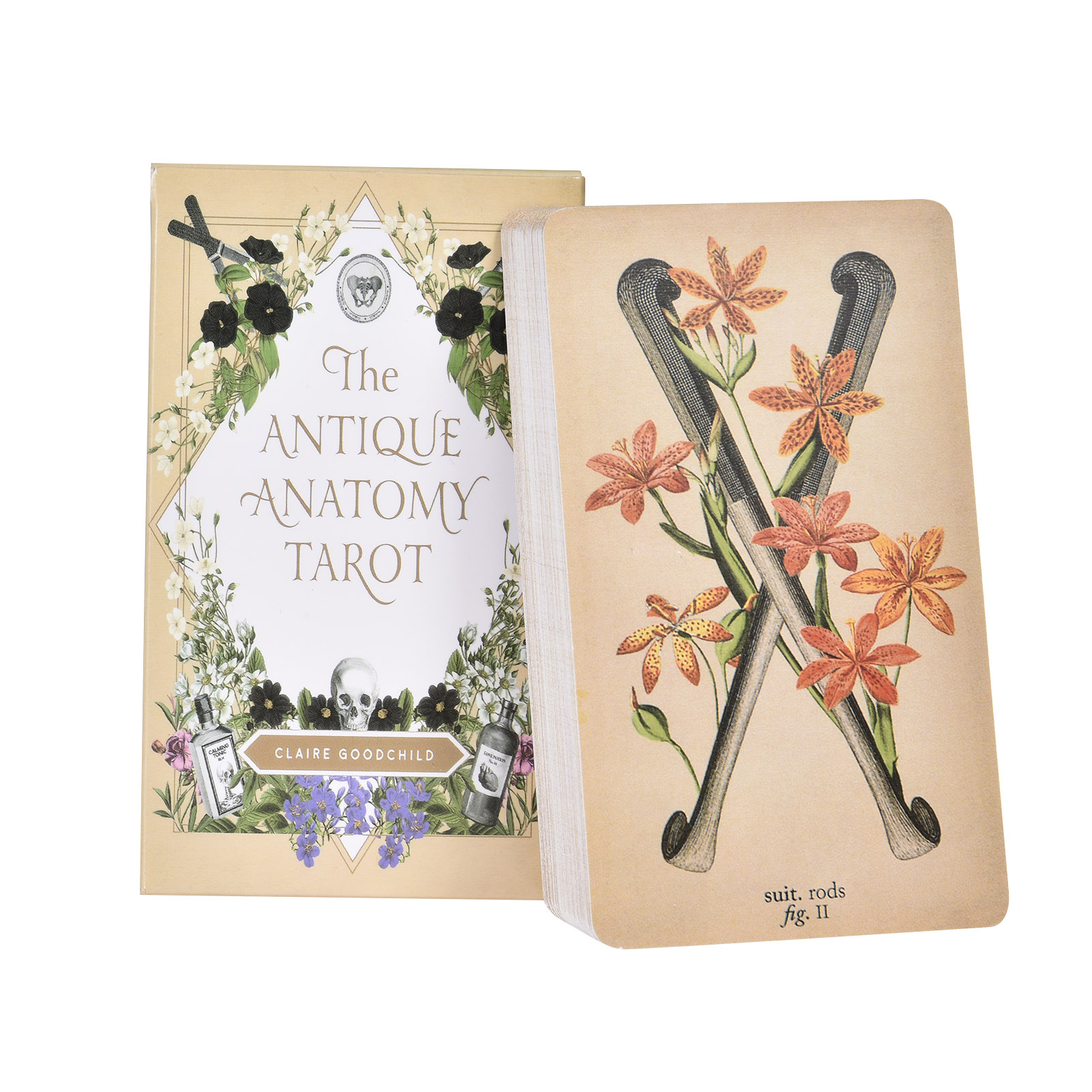 The Antique Anatomy Tarot Card - مراجعة Board Game English وسعره