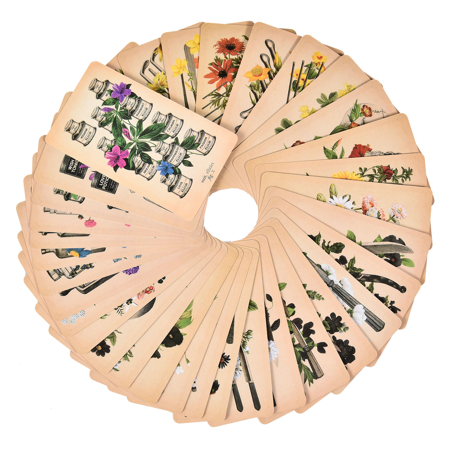 The Antique Anatomy Tarot Card - مراجعة Board Game English وسعره