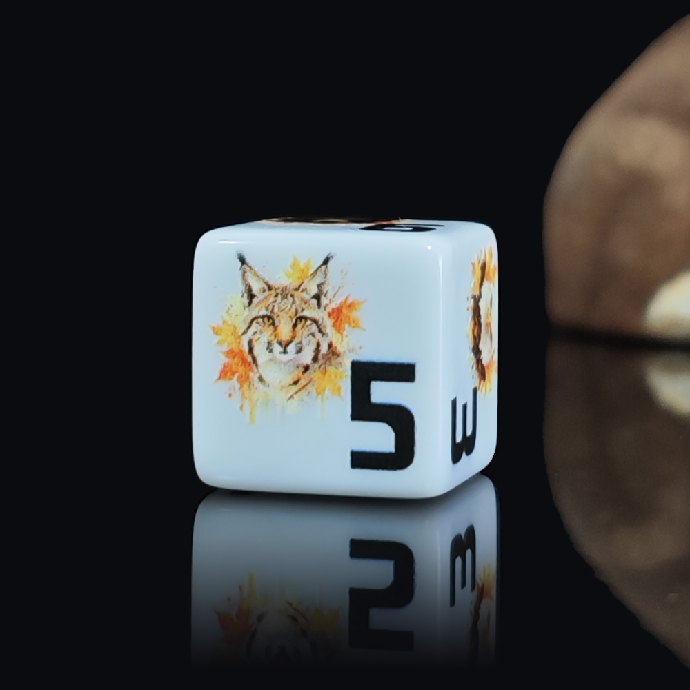 12Pcs 16MM Acrylic D6 Dice, Au - مراجعة Board Game Wild Wild وسعره